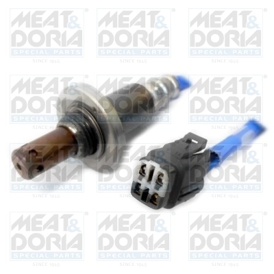 Oxygen Sensor